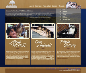 Woodland Wildlife